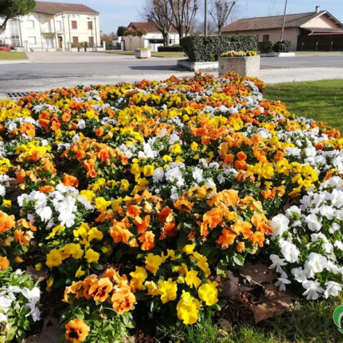 307 B27 - Jaune/Orange